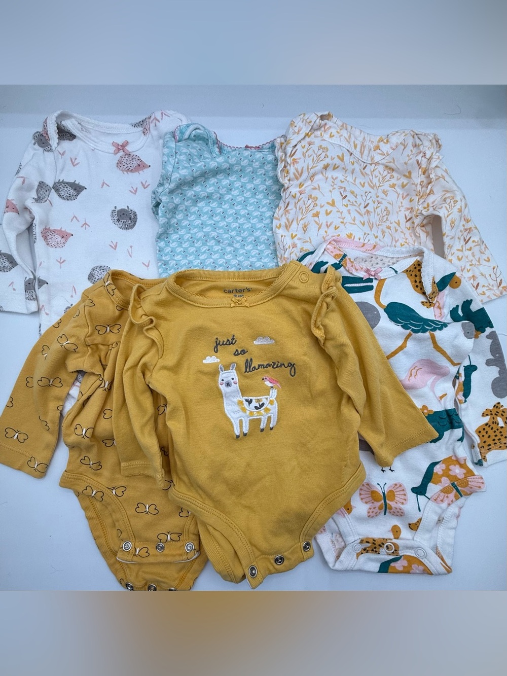 3 Month Girl Long-Sleeve Onesie Bundle (6 pcs)